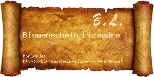 Blumenschein Lizandra névjegykártya